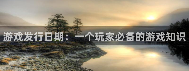 新城平台登录入口官网查询网址