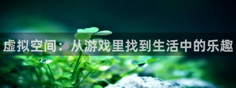 新城平台登录入口官网下载