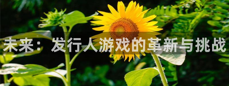新城平台线路登录不上去怎么回事儿