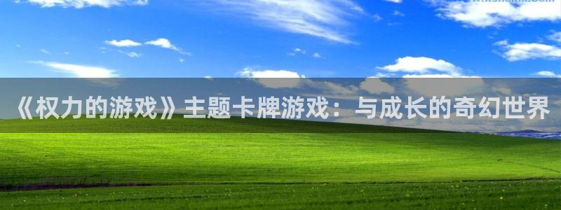 新城平台线路登录不上去怎么回事