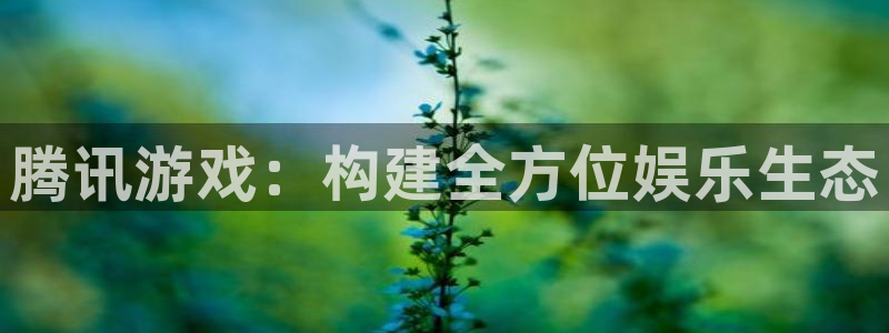 新城平台注册资金多少合适
