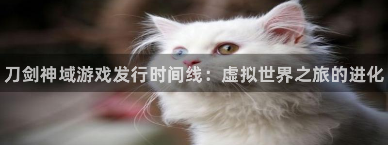 新城平台登录入口网址：刀剑神域游戏发行时间线：虚拟世界之旅的进化