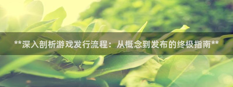 新城平台登录入口官网首页下载：**深入剖析游戏发行流程：从概念到发布的终极指南**