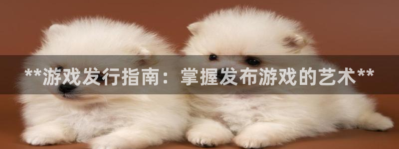 新城平台登录入口官网网址是什么：**游戏发行指南：掌握发布游戏的艺术**
