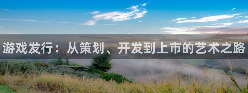 新城平台注册资金多少