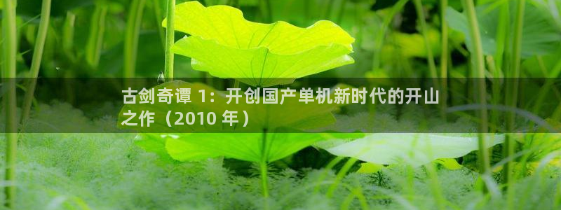 新城平台线路检测中心：古剑奇谭 1：开创国产单机新时代的开山
之作（2010 年）