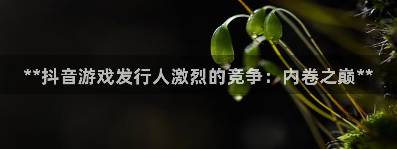 新城平台开户：**抖音游戏发行人激烈的竞争：内卷之巅**