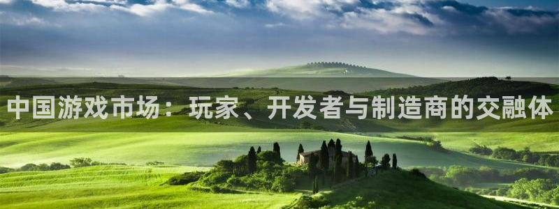 新城平台：中国游戏市场：玩家、开发者与制造商的交融体