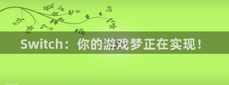 新城平台怎么样