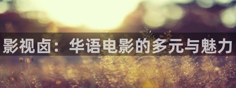 伊人影院2020：影视卤：华语电影的多元与魅力