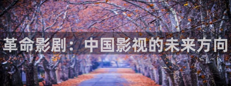 亚洲福中文字幕伊人影院：革命影剧：中国影视的未来方向