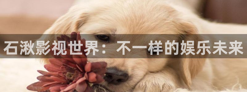 伊人网综合影院