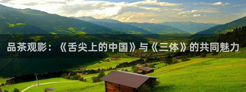 伊人影院4：品茶观影：《舌尖上的中国》与《三体》的共同魅力
